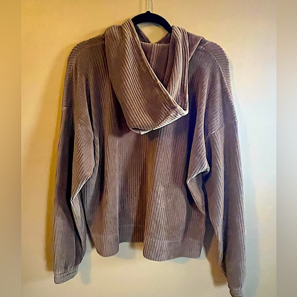 Aerie Light Brown Cropped Hoddie